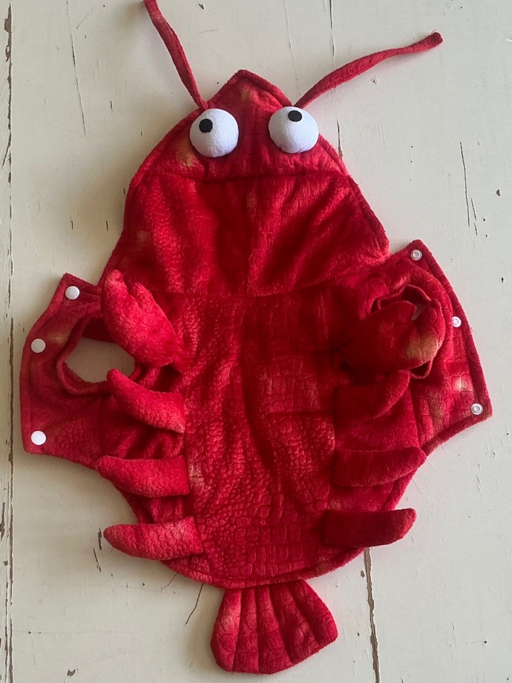 Lobster Halloween Costume for a Small Dog